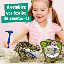 Escavações Fósseis 4 em 1