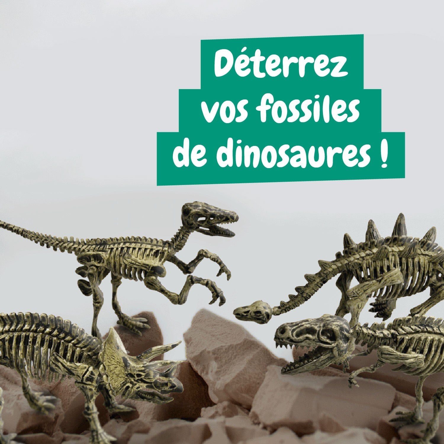 Escavações Fósseis 4 em 1