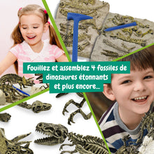 Escavações Fósseis 4 em 1