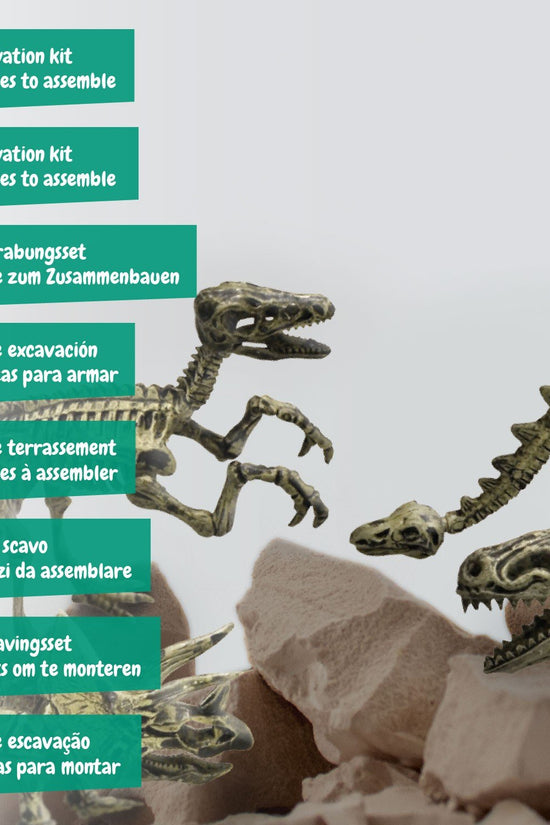 Escavações Fósseis 4 em 1