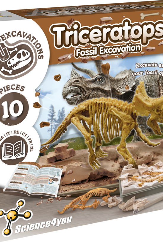 Triceratops - Fossil Excavation