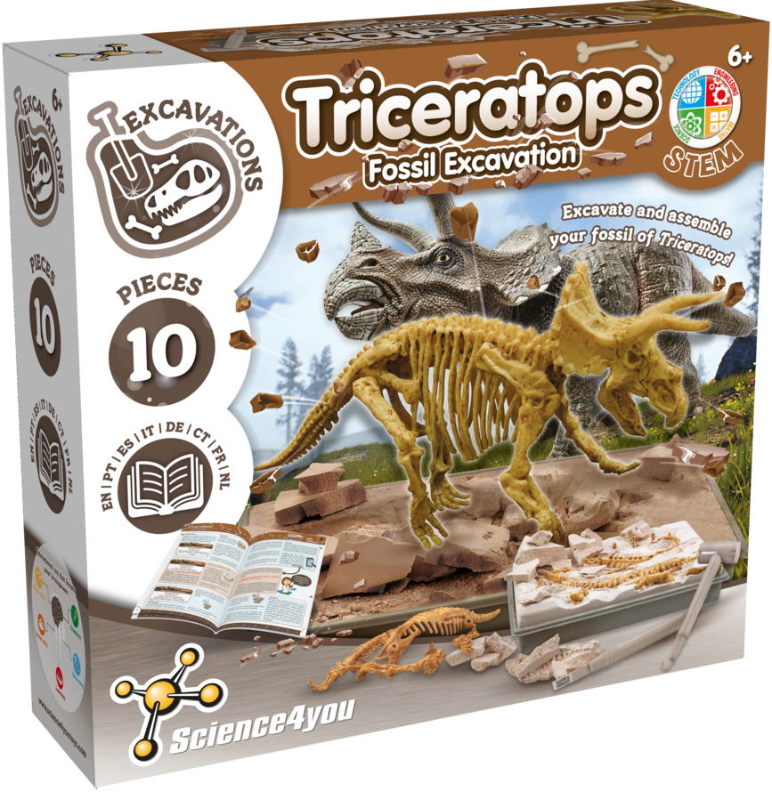 Triceratops - Fossil Excavation
