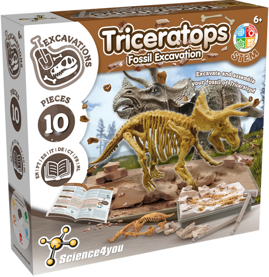 Triceratops - Fossil Excavation