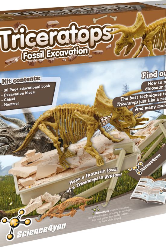 Triceratops - Fossil Excavation