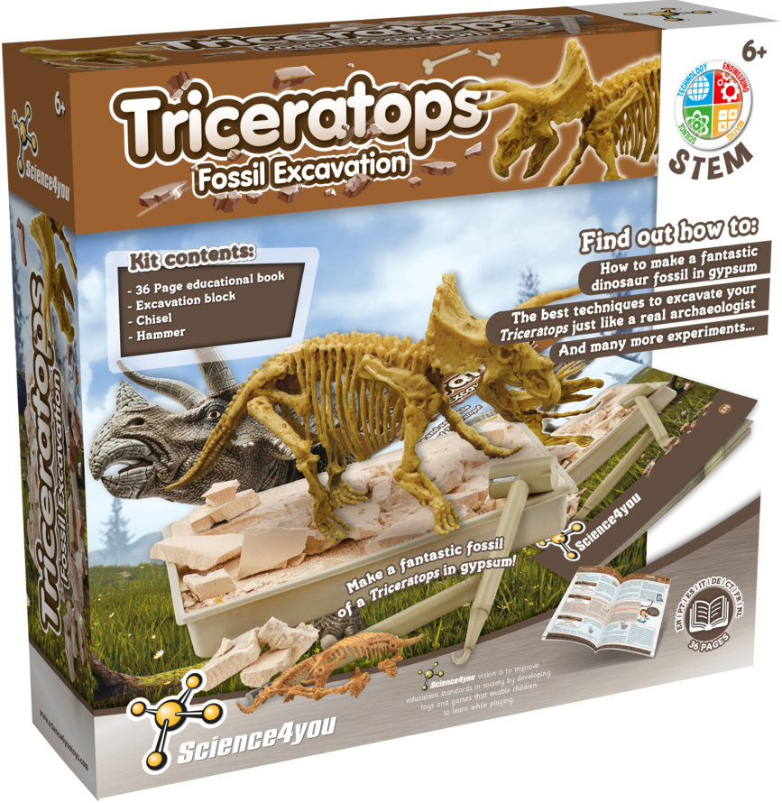 Triceratops - Fossil Excavation