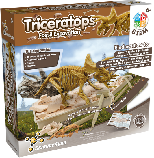 Triceratops - Fossil Excavation