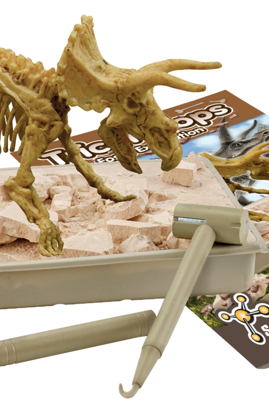 Triceratops - Fossil Excavation