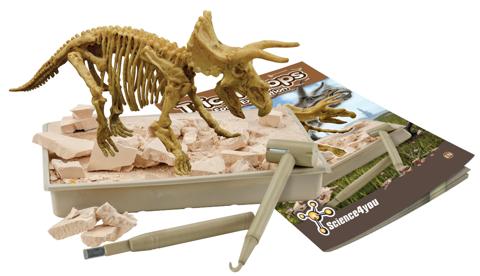 Triceratops - Fossil Excavation