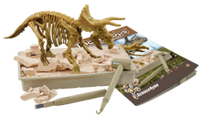 Triceratops - Fossil Excavation