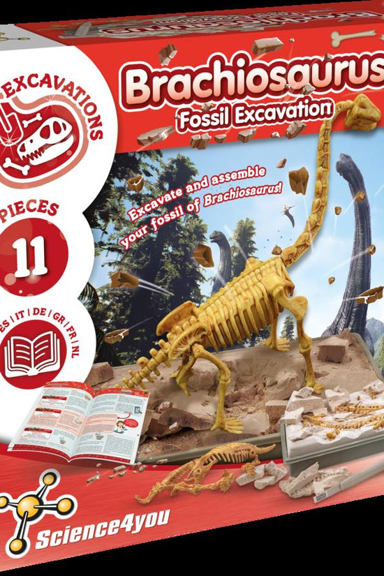 Fossil Excavation  - Brachiosaurus