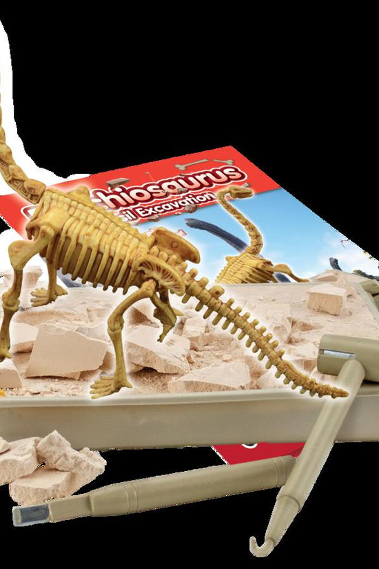 Fossil Excavation  - Brachiosaurus
