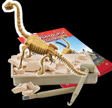 Fossil Excavation  - Brachiosaurus