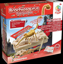 Fossil Excavation  - Brachiosaurus