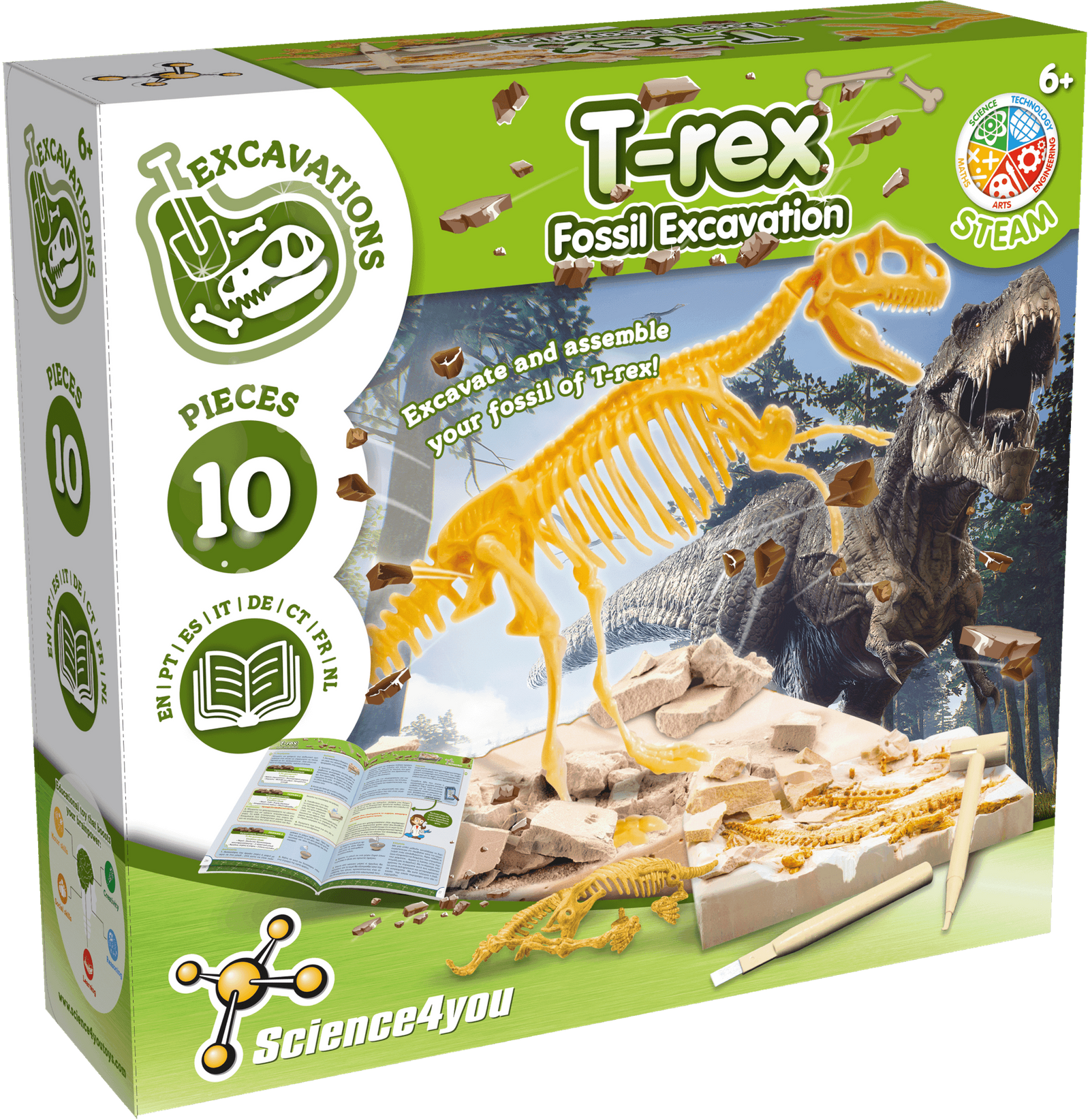 Escavações Fósseis - T-Rex