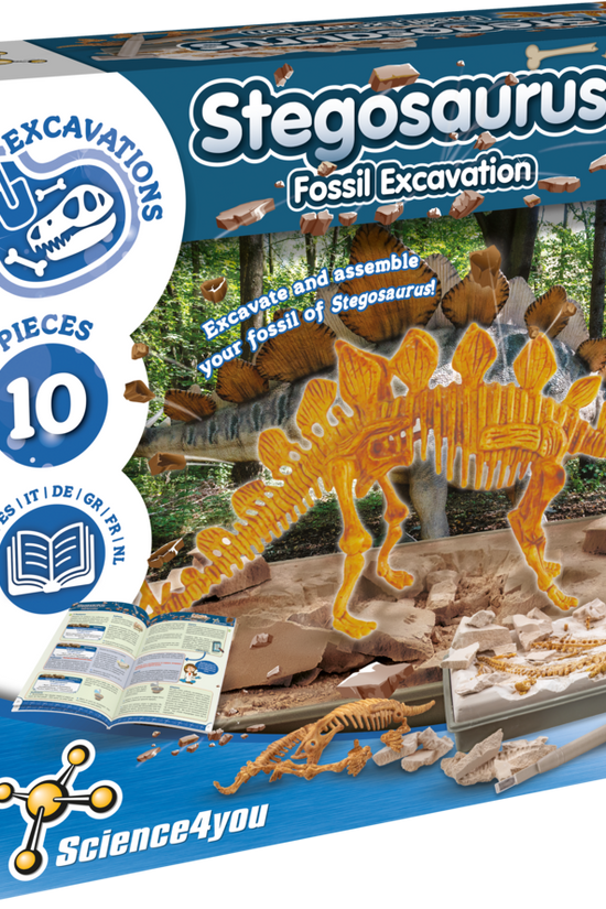 Stegosaurus - Fossil Excavation