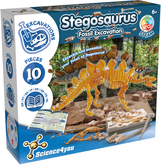 Stegosaurus - Fossil Excavation