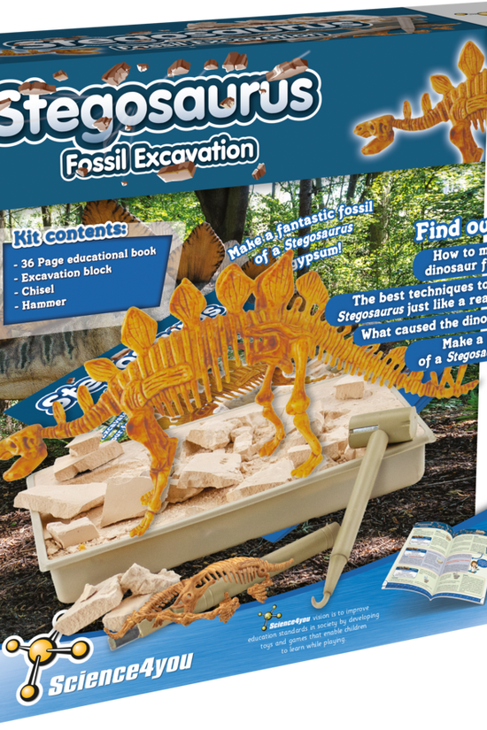 Stegosaurus - Fossil Excavation
