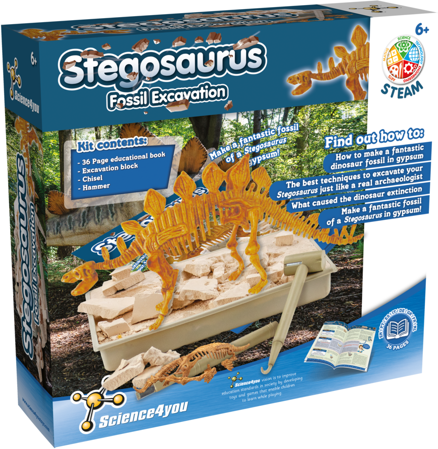 Stegosaurus - Fossil Excavation