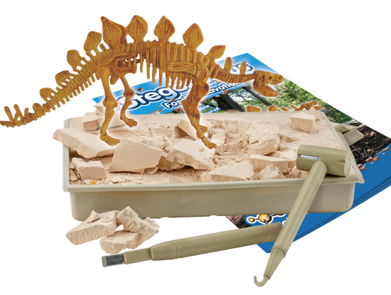 Stegosaurus - Fossil Excavation