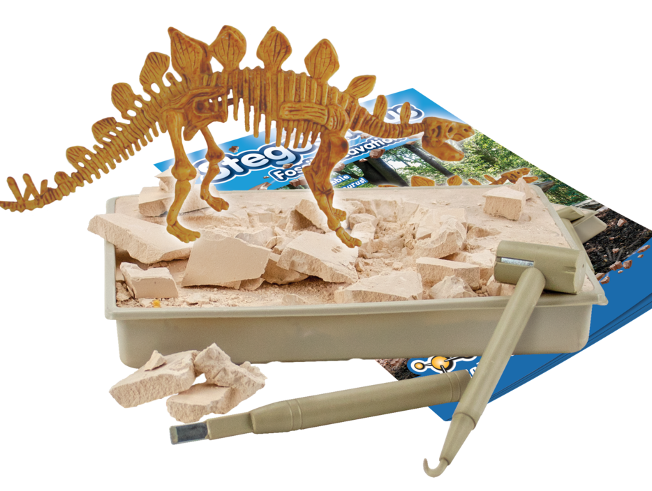 Stegosaurus - Fossil Excavation