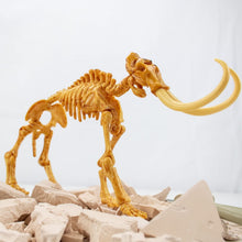 Dino Ausgrabungsset - Mammut