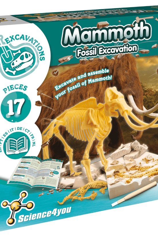 Fossil Diggings - Mammoth