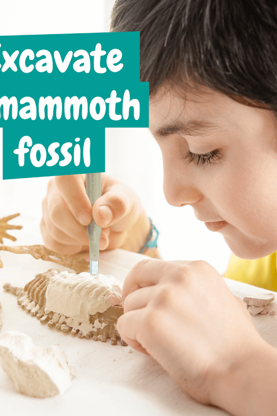 Fossil Diggings - Mammoth