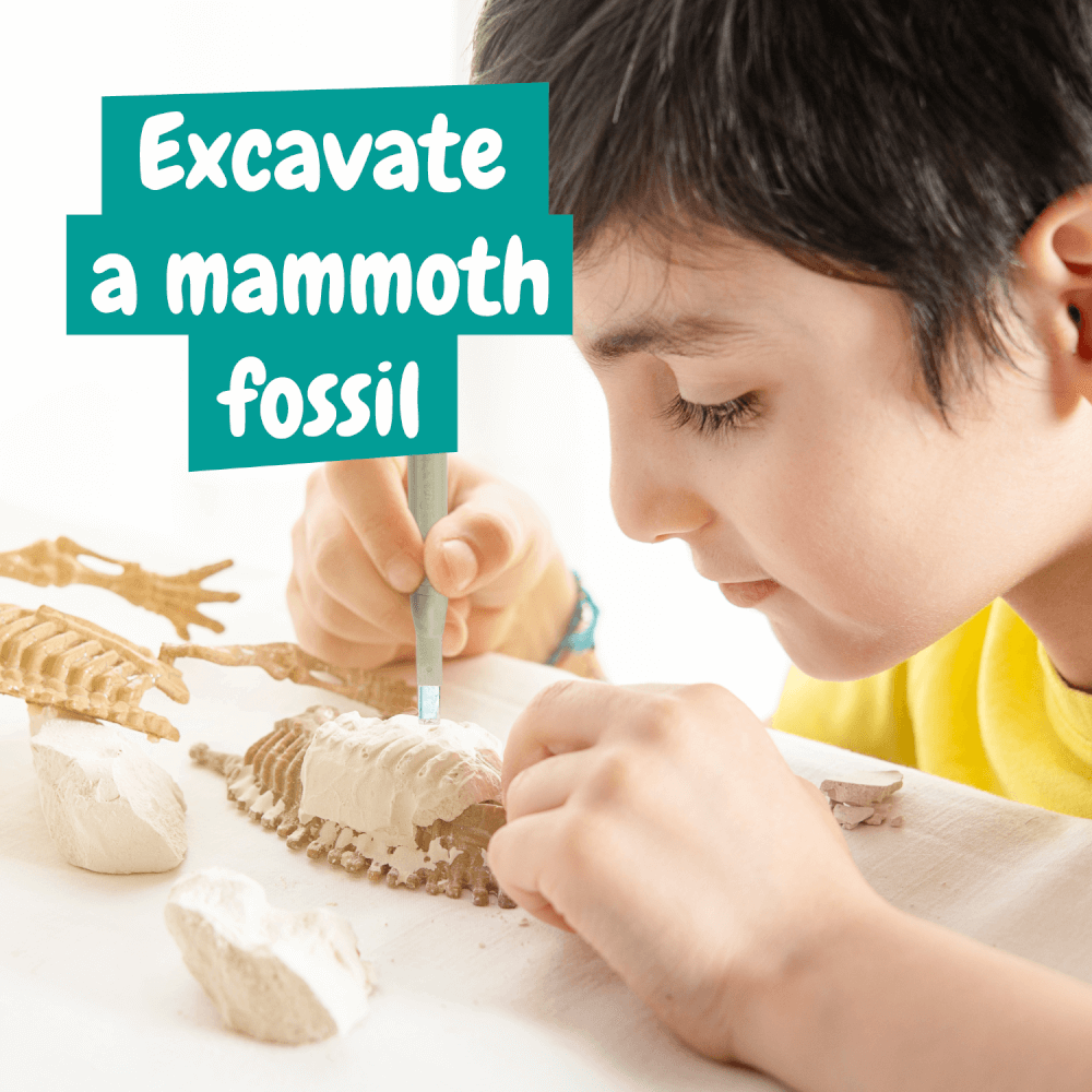 Fossil Diggings - Mammoth