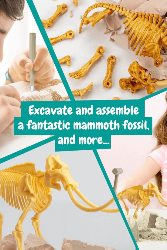 Fossil Diggings - Mammoth