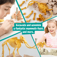 Fossil Diggings - Mammoth