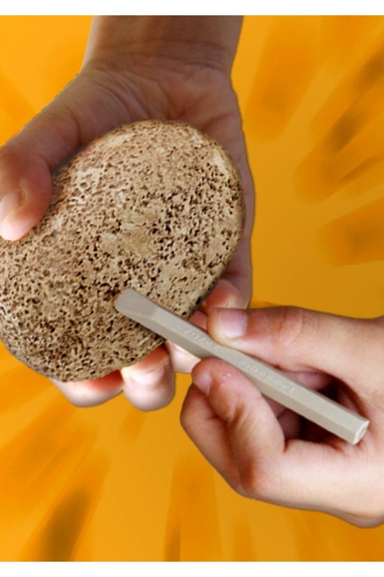 Starter Kit Dino Eggs