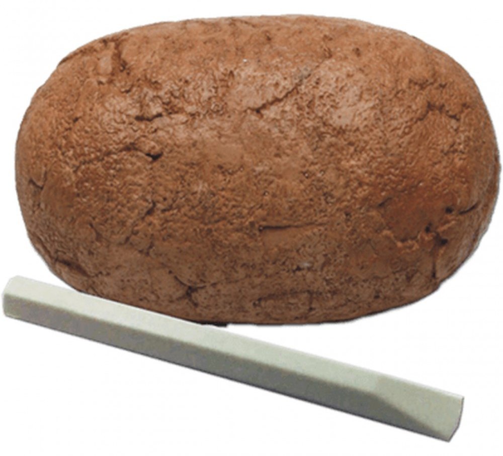 Starter Kit Dino Eggs