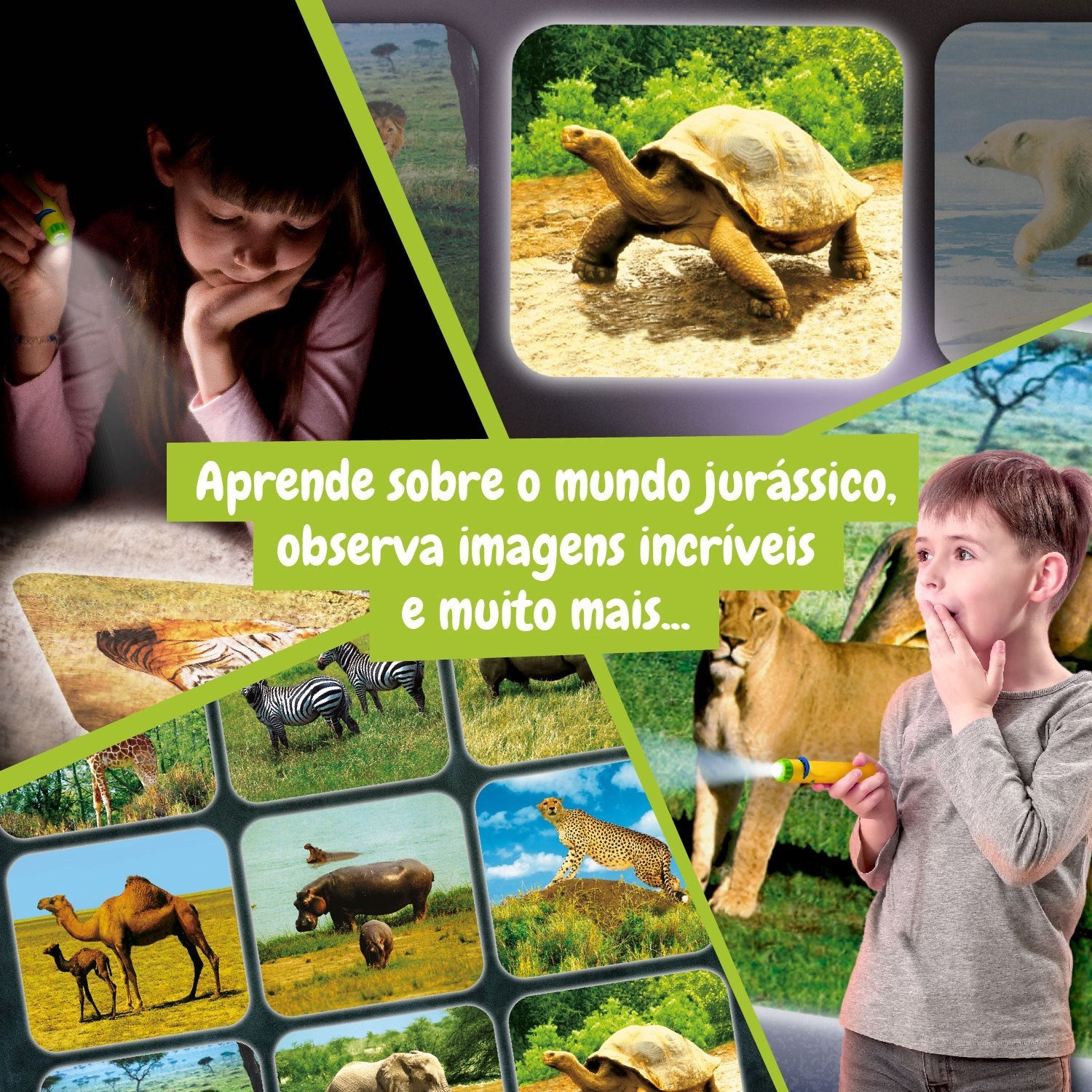 Projetor Lanterna de Dinossauros