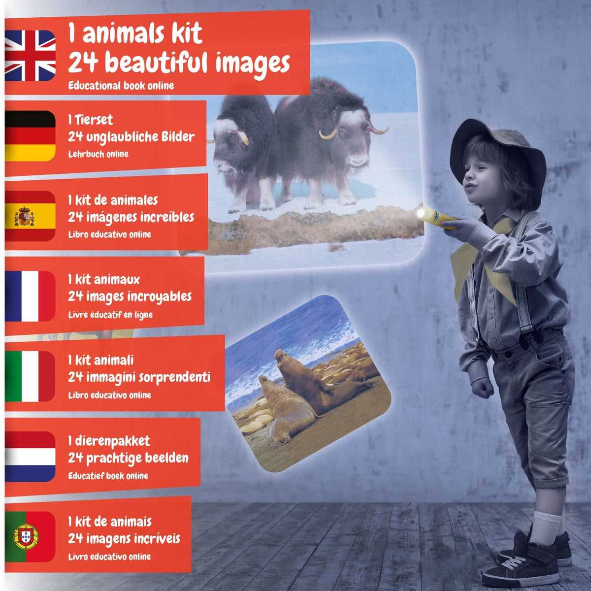 Projetor Lanterna de Animais