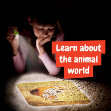 Projetor Lanterna de Animais