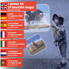 Lanterne Projecteur Animale
