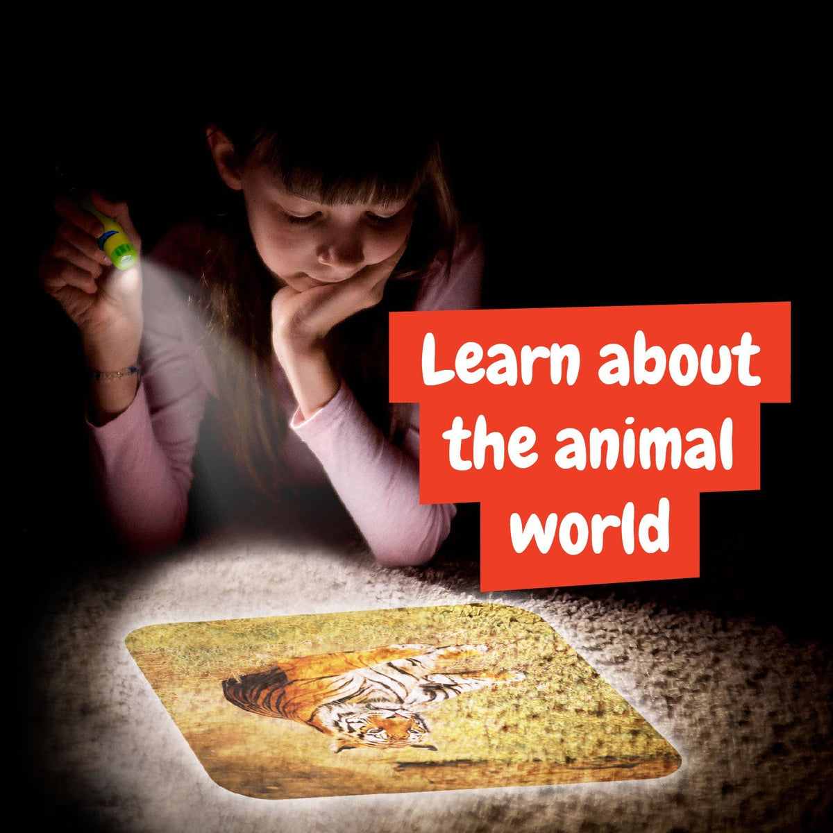 Projetor Lanterna de Animais