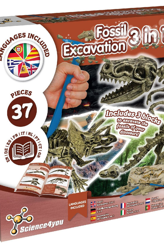 Fossil Excavation 3 in 1