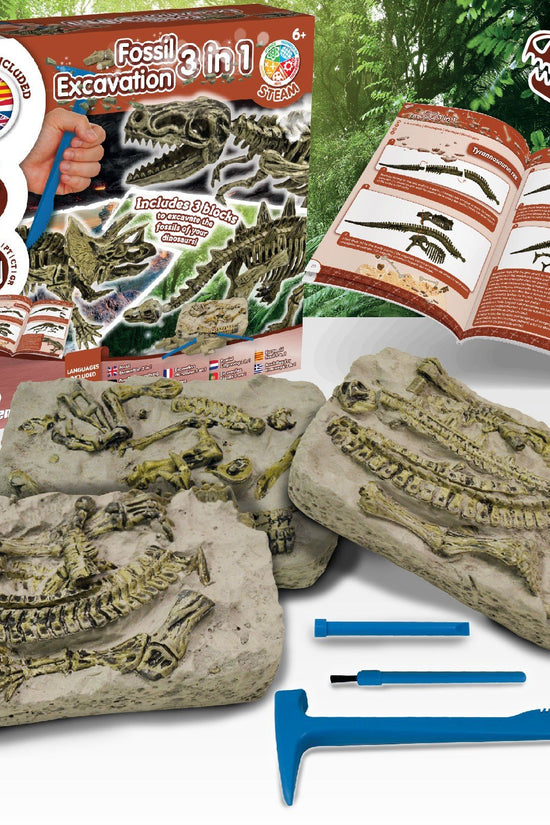 Fossil Excavation 3 in 1