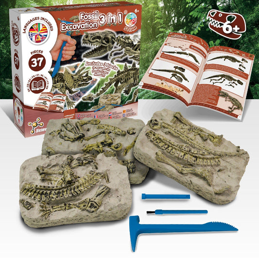 Fossil Excavation 3 in 1
