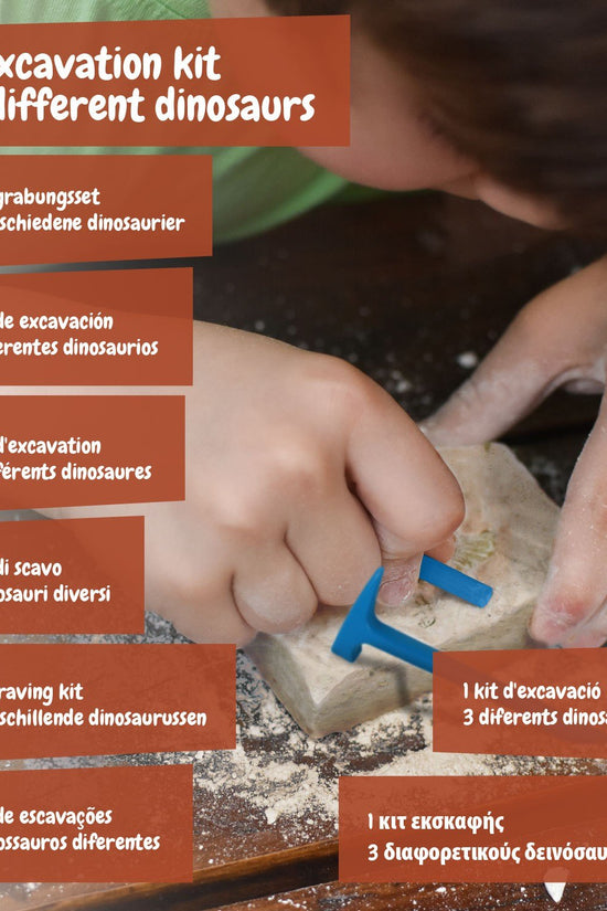Fossil Excavation 3 in 1