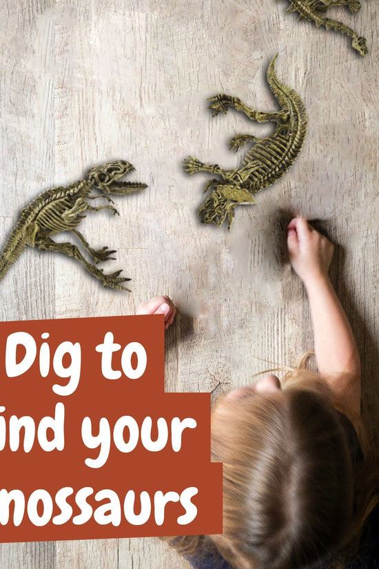 Fossil Excavation 3 in 1