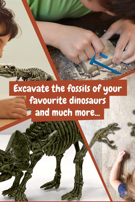 Fossil Excavation 3 in 1