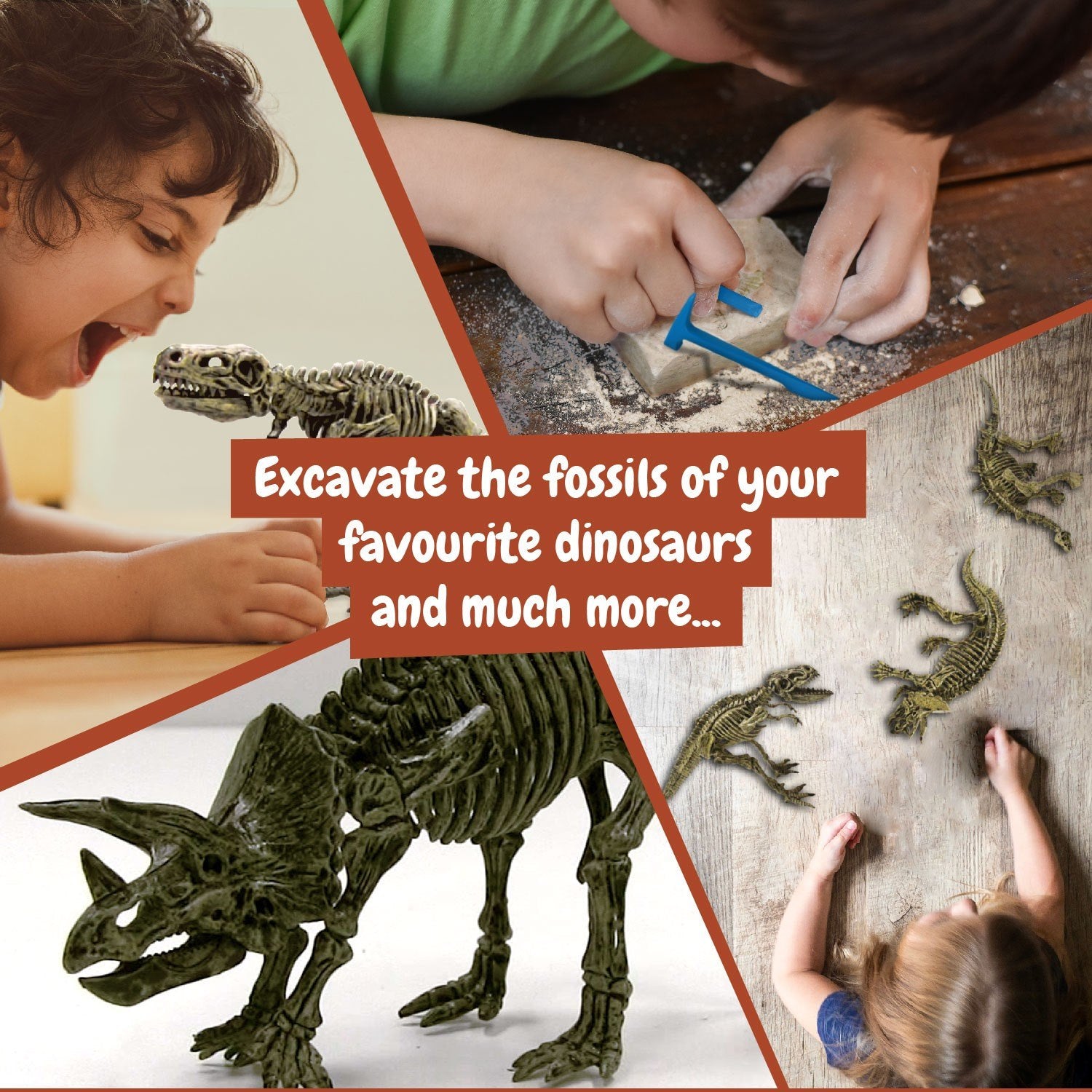 Fossil Excavation 3 in 1
