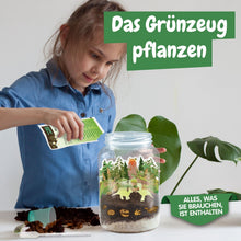 Terrário de Dinossauros