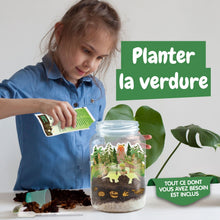 Terrário de Dinossauros