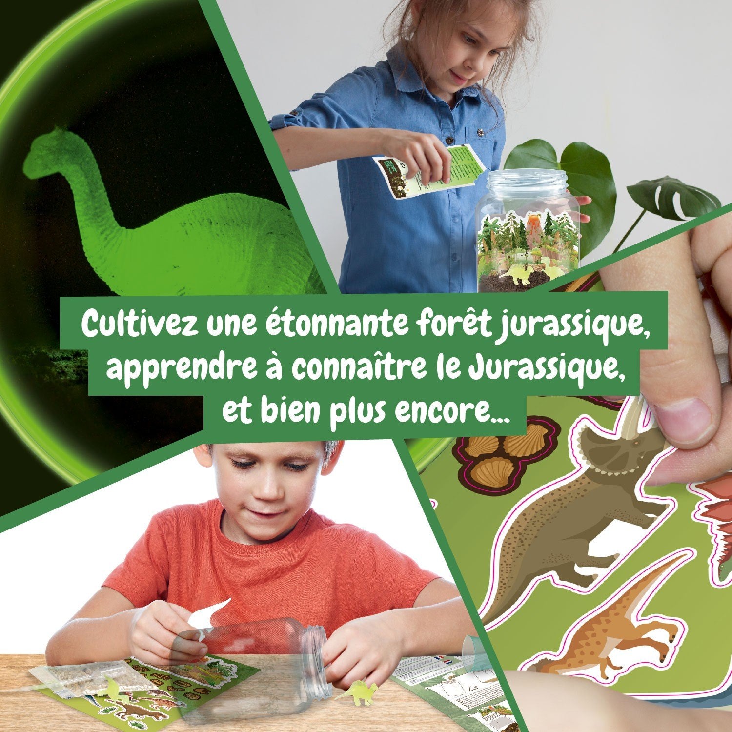Terrário de Dinossauros