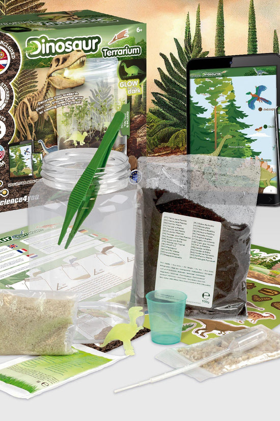 Terrário de Dinossauros