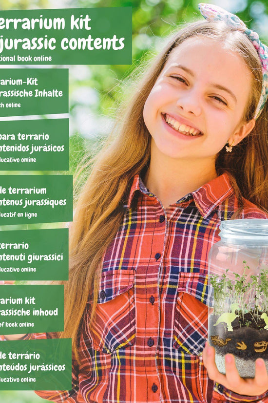 Terrário de Dinossauros