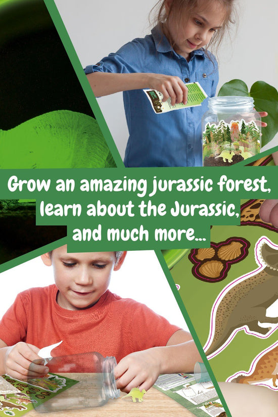 Terrário de Dinossauros